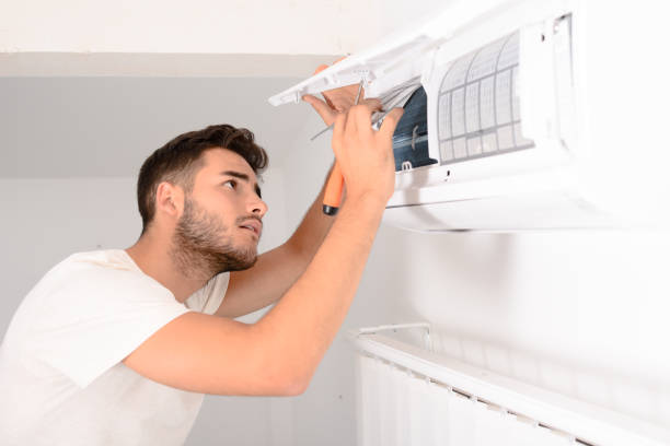 Air Duct Mold Removal in LA